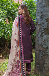 Colors Digital Printed Khaddar Edit 3 Piece-CDK-25-01